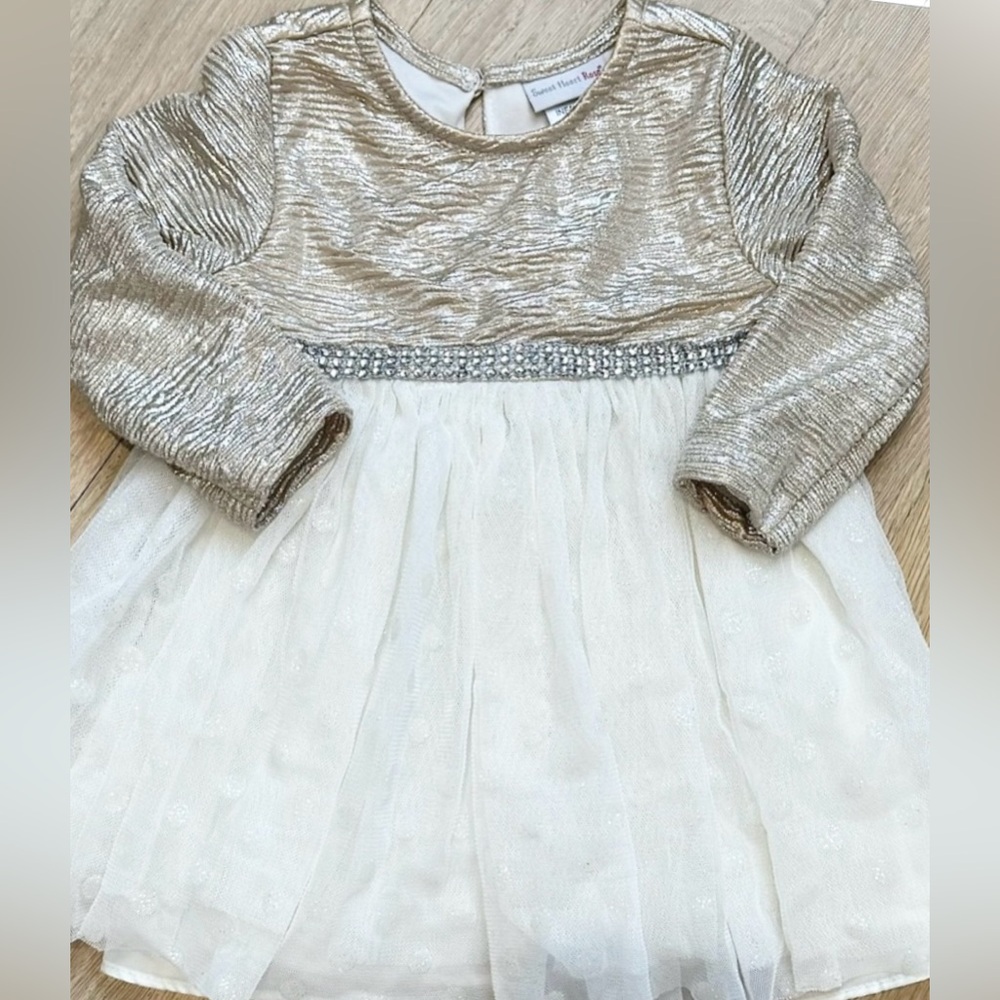 Sweet Heart Rose Tulle Dress -  Size 12 months
